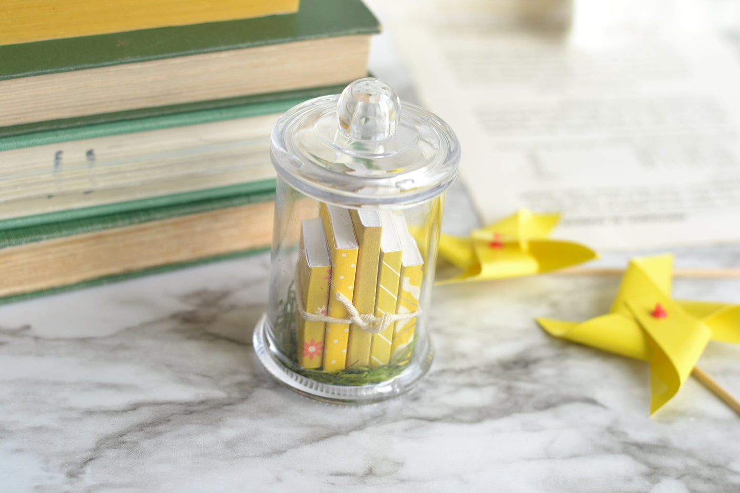 Yellow Book Terrarium