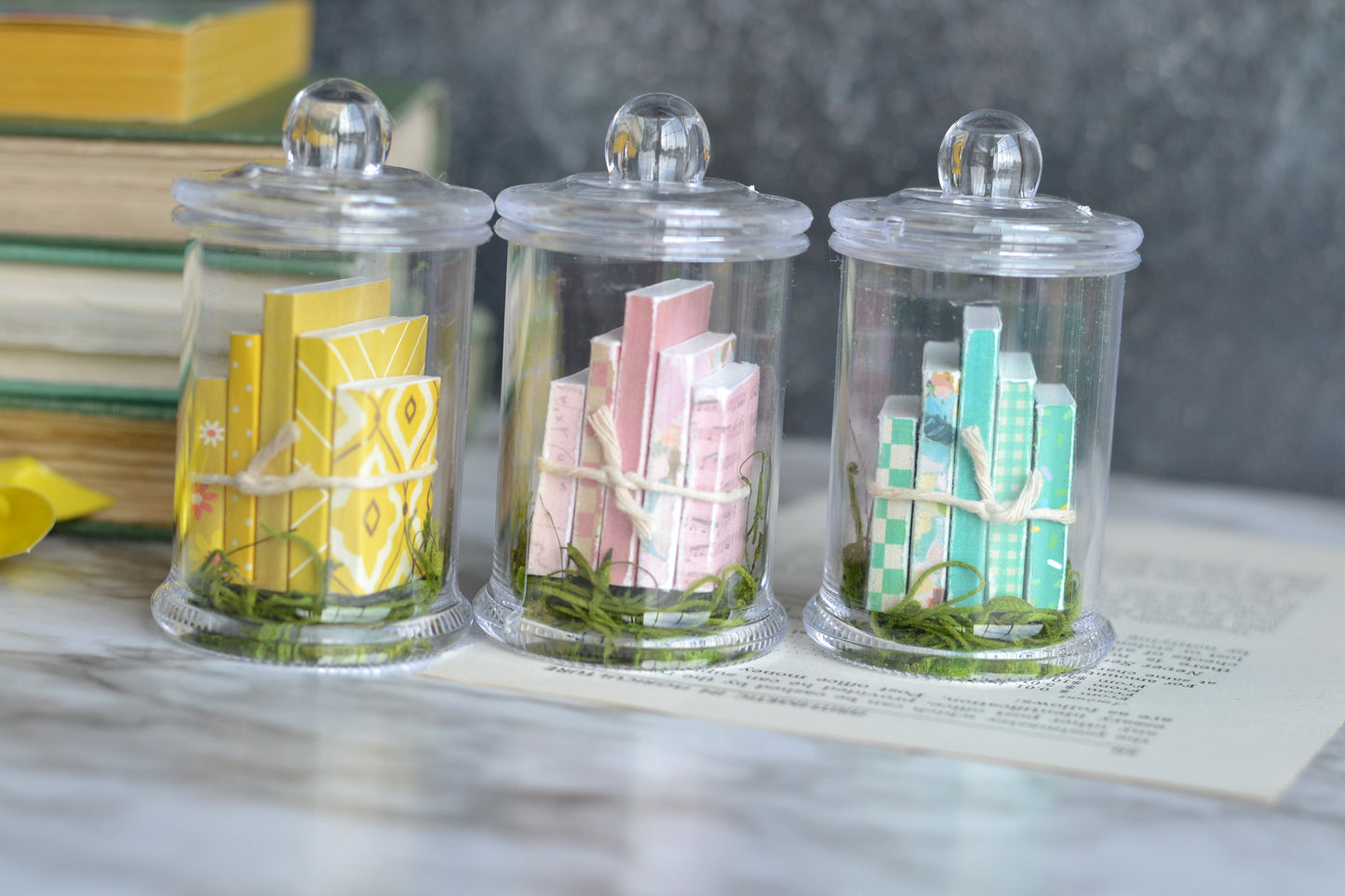 Yellow Book Terrarium