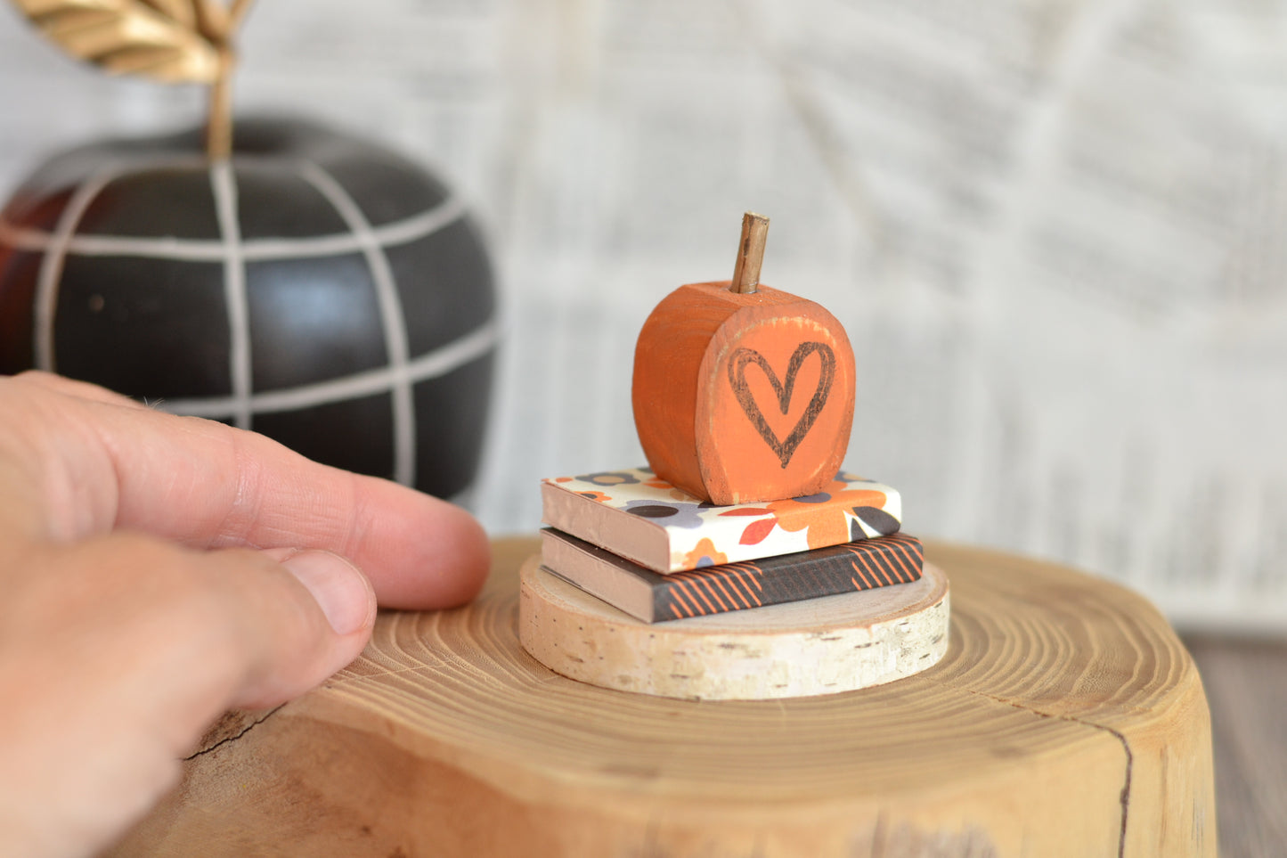 Books on a Log Slice B20