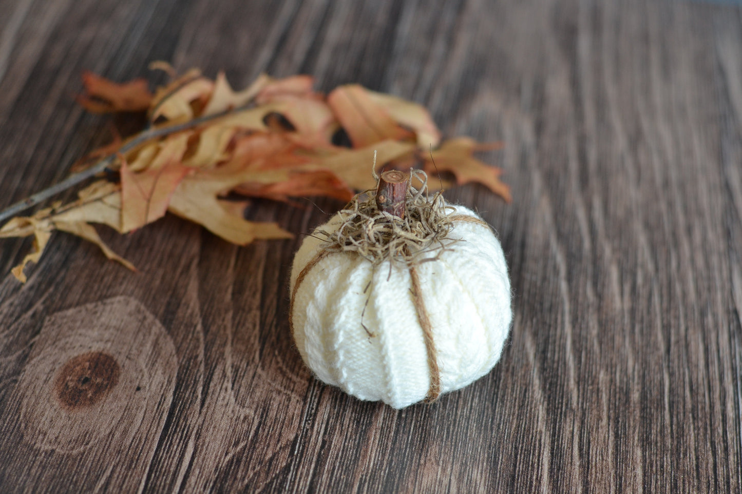 Cream Textured Pumpkin
