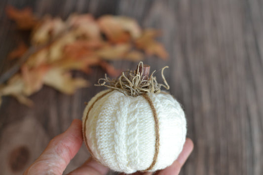 Cream Textured Pumpkin